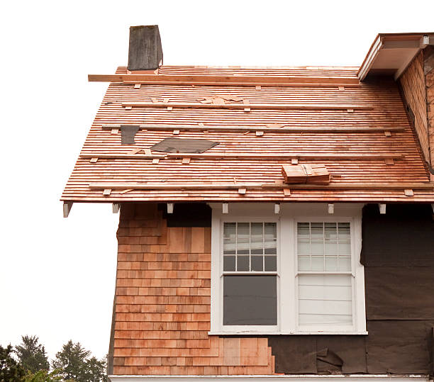 Affordable Siding Repair and Maintenance Services in West Sayville, NY